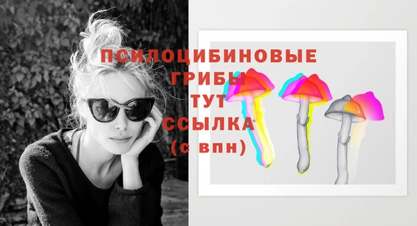 каннабис Богданович