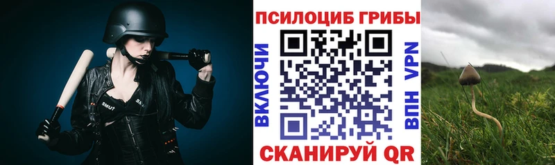 купить наркоту  Волжск  Псилоцибиновые грибы ЛСД 